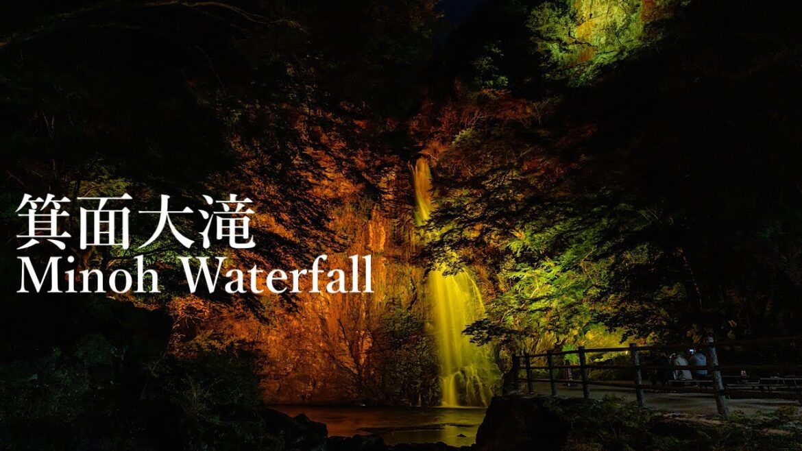 箕面大滝 紅葉ライトアップ Osaka Night Walk - Illumination of Minoh Waterfall 4K HDR Japan