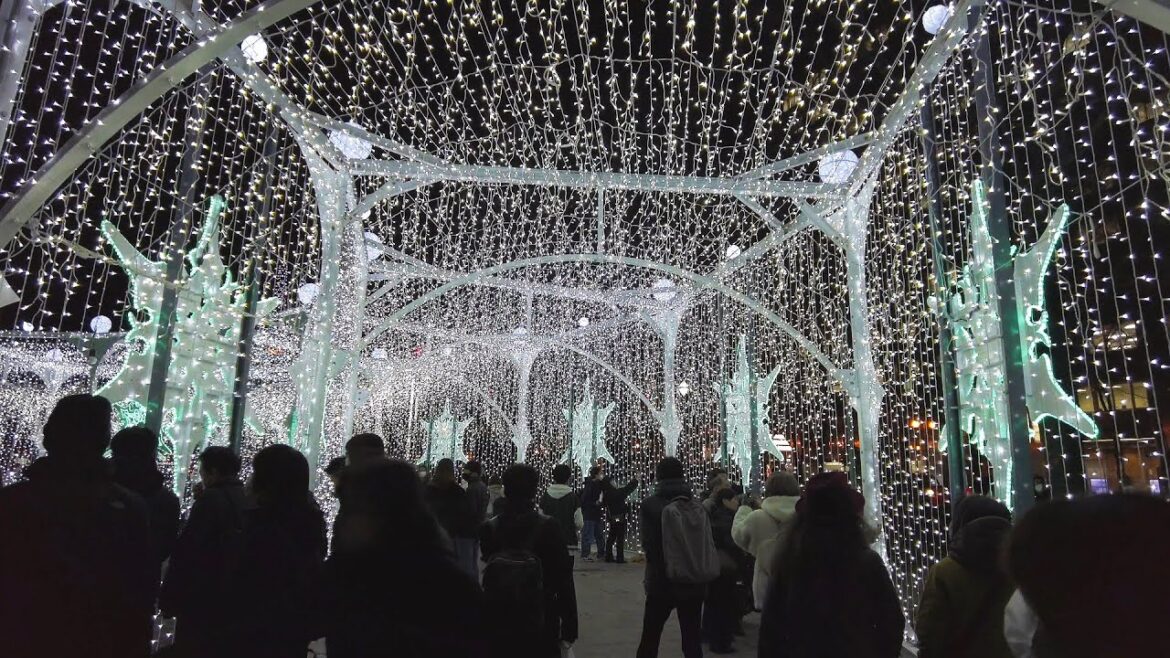 【4K】第42回 さっぽろホワイトイルミネーション 2022 大通会場 散策 日本 北海道 札幌 中央区【Binaural Audio】