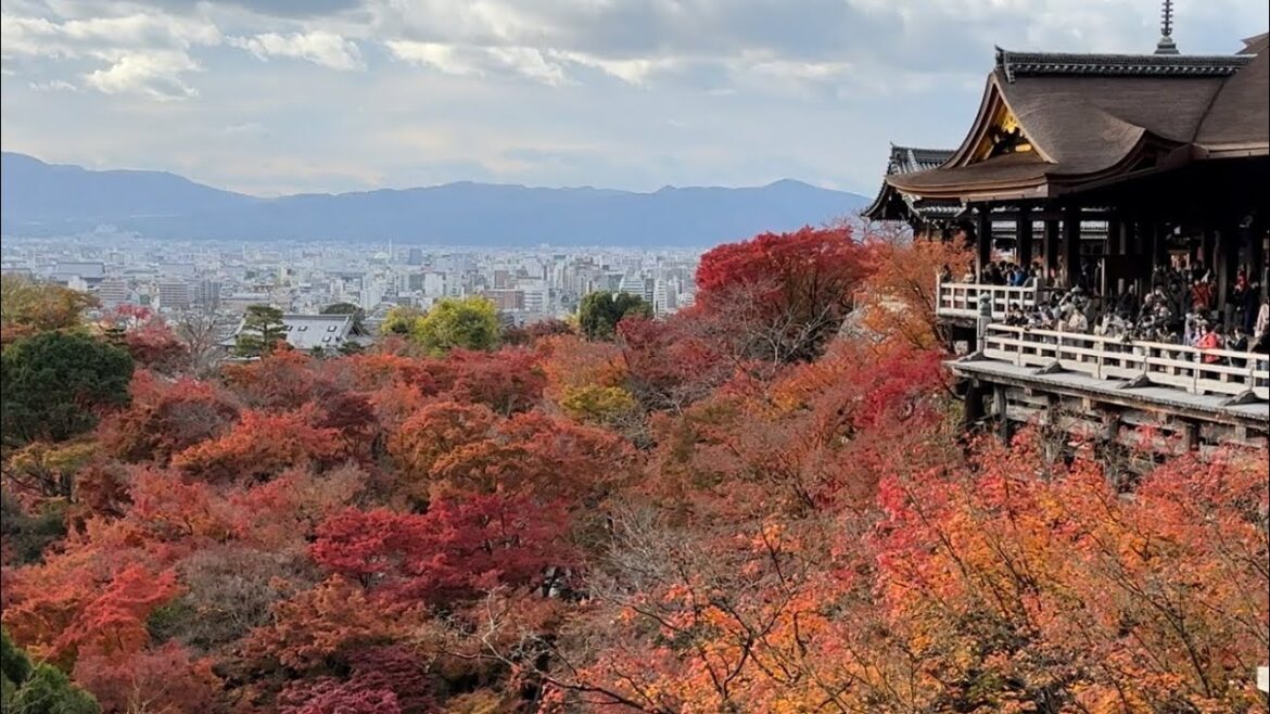 Kiyomizu-dera Temple, Kyoto, Japan Cultural Tour