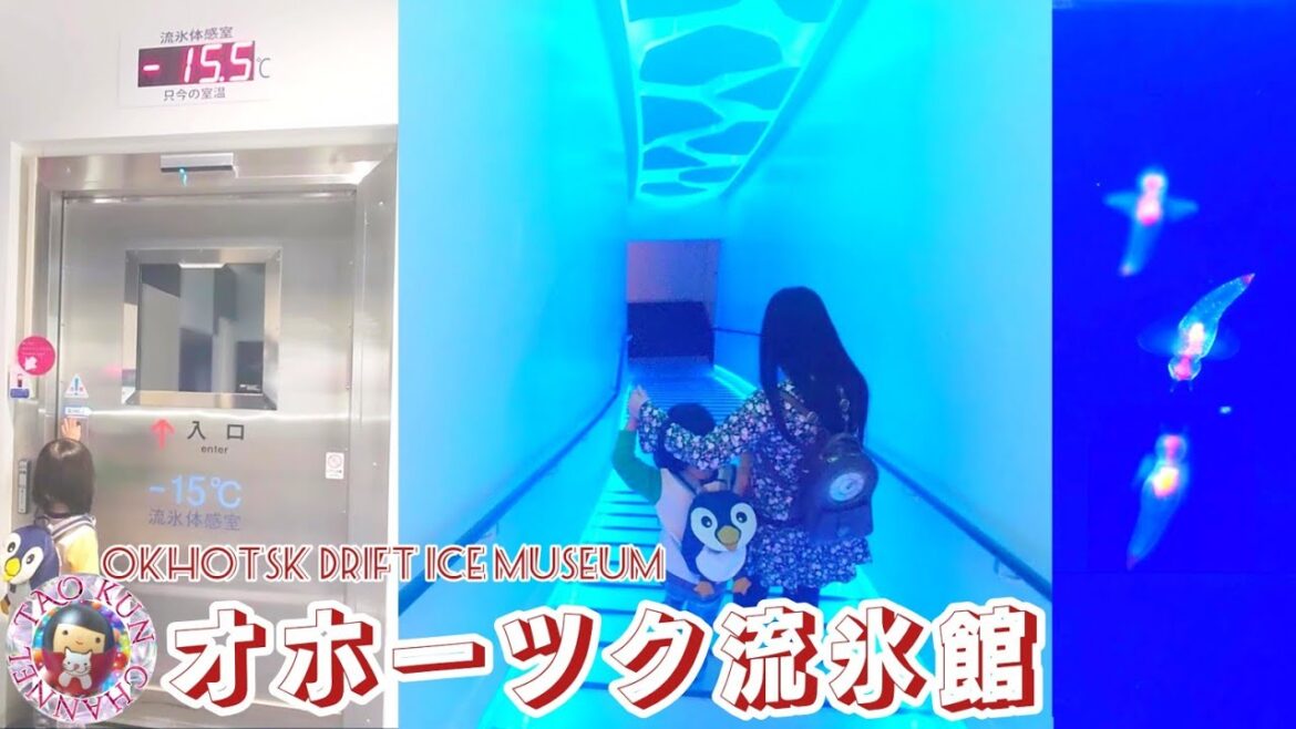 🍧オホーツク流氷館🍧マイナス15℃の世界と"流氷の天使"クリオネ水槽🍧天都山展望台🍧Okhotsk Drift Ice Museum🍧Clione Angel tank🍧Hokkaido🍧