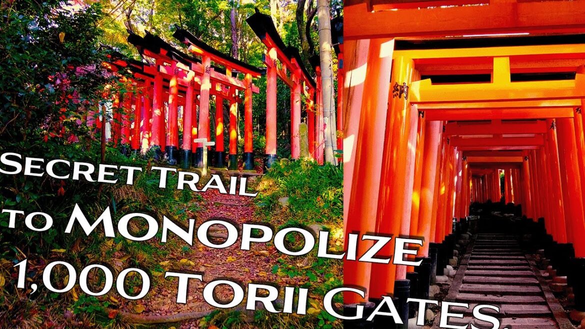 Amazing Torii and A Secret Path. Fushimi Inari Shrine. Kyoto, Japan Amazing Torii and A Secret Path. Fushimi Inari Shrine. Kyoto, Japan