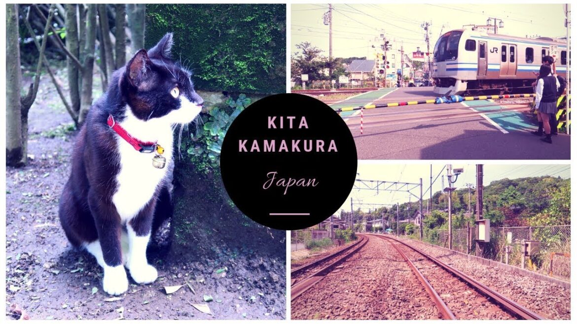 Kita Kamakura 🕊 Japan Ambience 🐾 🎋⎪TOKYO J6 Kita Kamakura 🕊 Japan Ambience 🐾 🎋⎪TOKYO J6