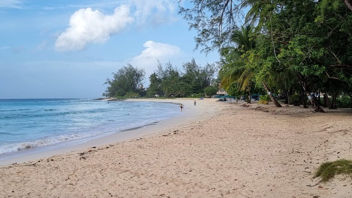 November 22, 2022 - Rockley Landside (Live)