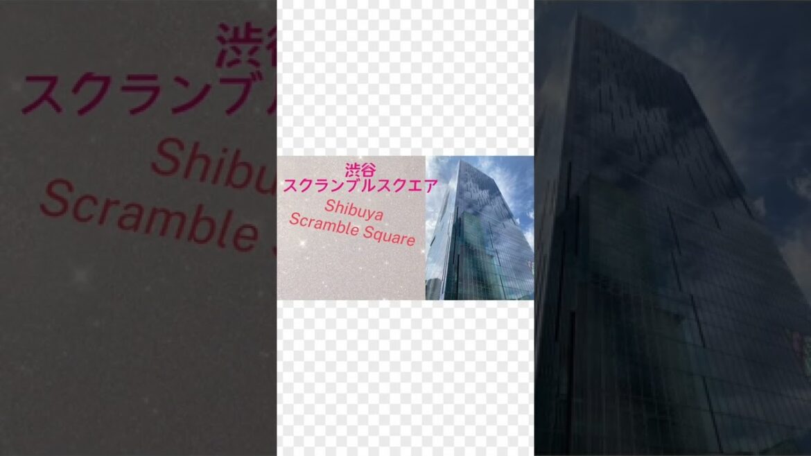 We’re in Shibuya now. Wow, so many skyscrapers. Yeah, they’re new building. We’re in Shibuya now. Wow, so many skyscrapers. Yeah, they’re new building.