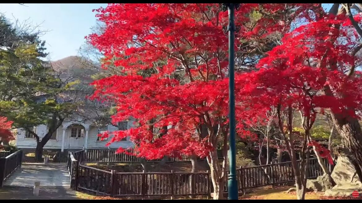 [ライブ配信アーカイブ] 北海道 函館さんぽ④ -谷地頭（やちがしら）- 2022/11/19