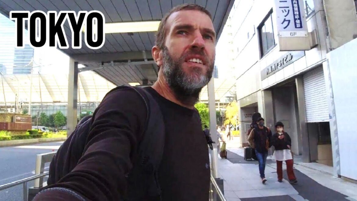 What is it Like to Walk Through Tokyo Central Station? What is it Like to Walk Through Tokyo Central Station?