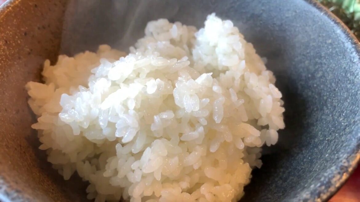 Japan Murakami Izutsu Ya Salmon speciality / Japon  J'ai testé le restaurant Izutsu Ya Salmon