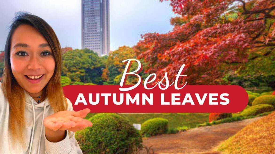 Autumn leaves in Tokyo 🍁 15 best autumn colour & foliage places around Japan