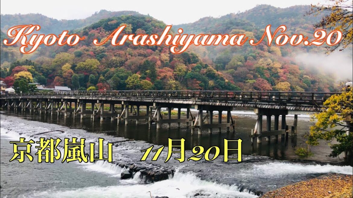 京都嵐山　雨の朝🍂 Kyoto Arashiyama rainy morning 2022年11月20日(日)