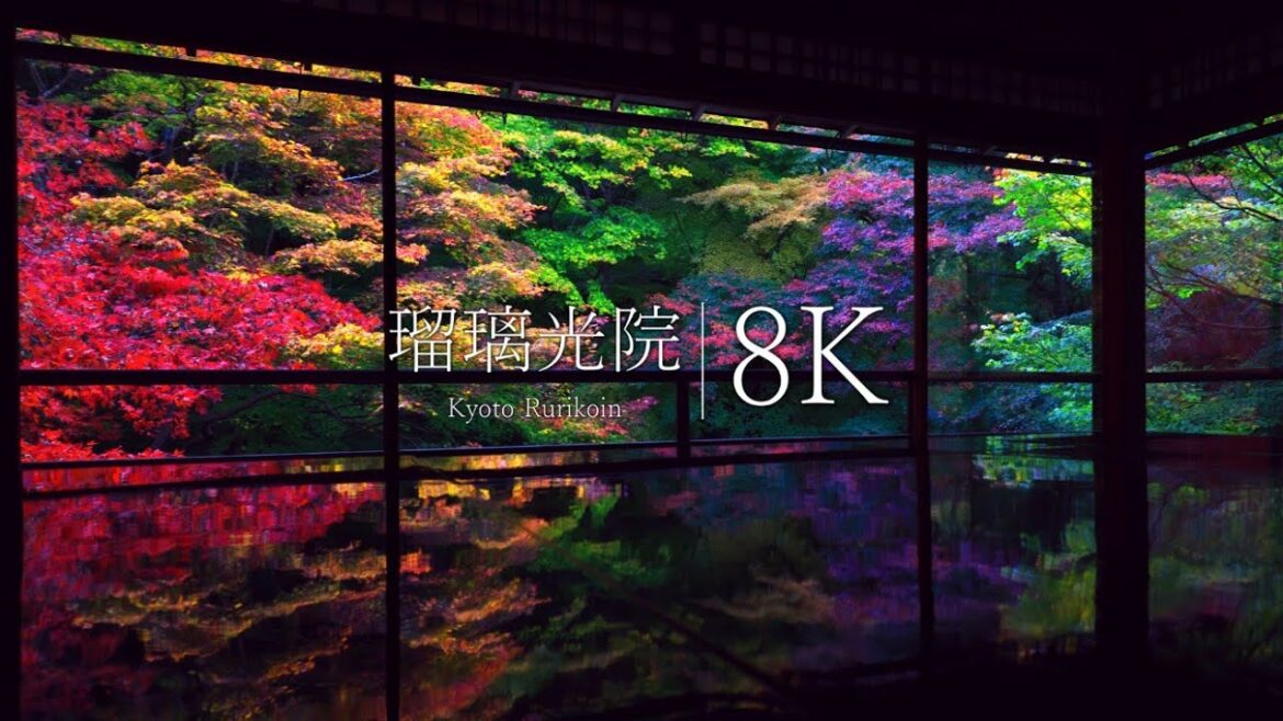 【京都一美しい庭園】瑠璃光院の紅葉絶景 - Kyoto in 8K