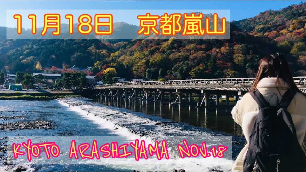 2022年11月18日(金) 2/2秋の京都嵐山🍁 Kyoto Arashiyama in autumn