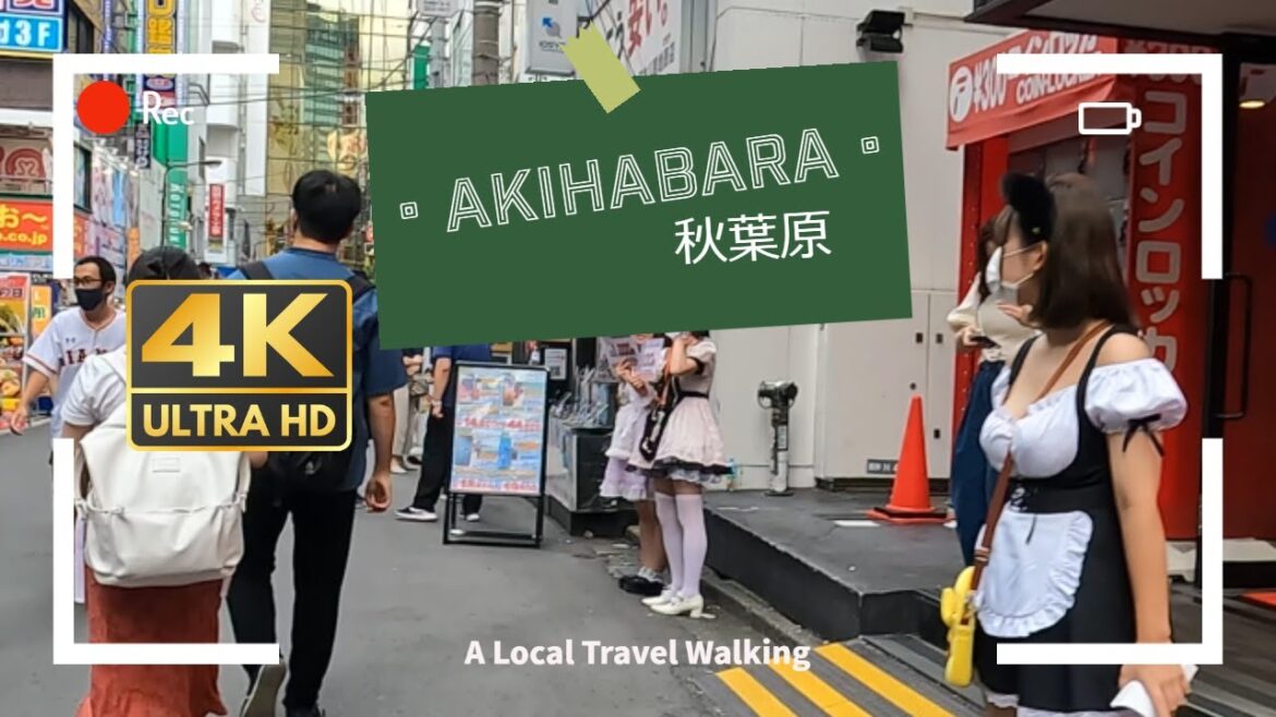 [4K50fps]AKIHABARA(秋葉原) JAPAN Sep.-12-2022 Pokémon