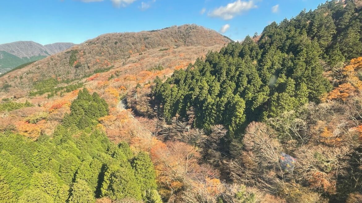 Ropeway Oowakudani to Togendai station