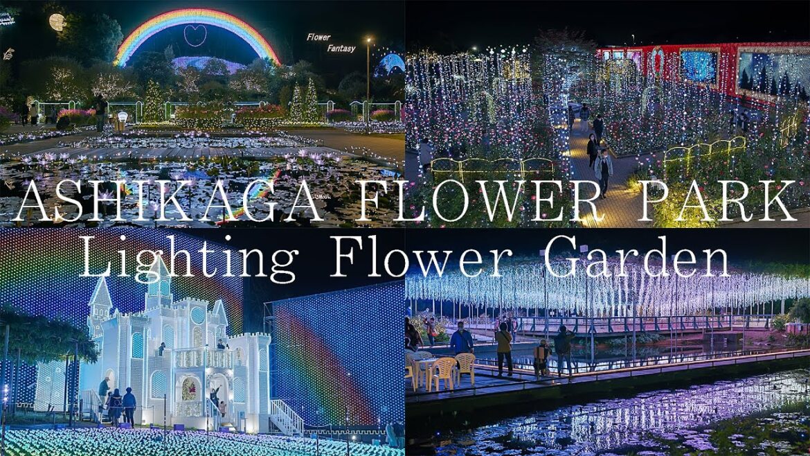 日本三大イルミネーション あしかがフラワーパーク 4K Ashikaga Flower Park Japan | Christmas Lights illuminations 光の花の庭 絶景 日本三大イルミネーション あしかがフラワーパーク 4K Ashikaga Flower Park Japan | Christmas Lights illuminations 光の花の庭 絶景