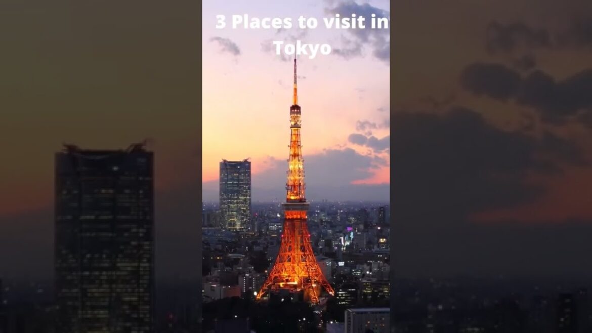 3 PLACES TO VISIT IN TOKYO! 🧳#travel #shorts