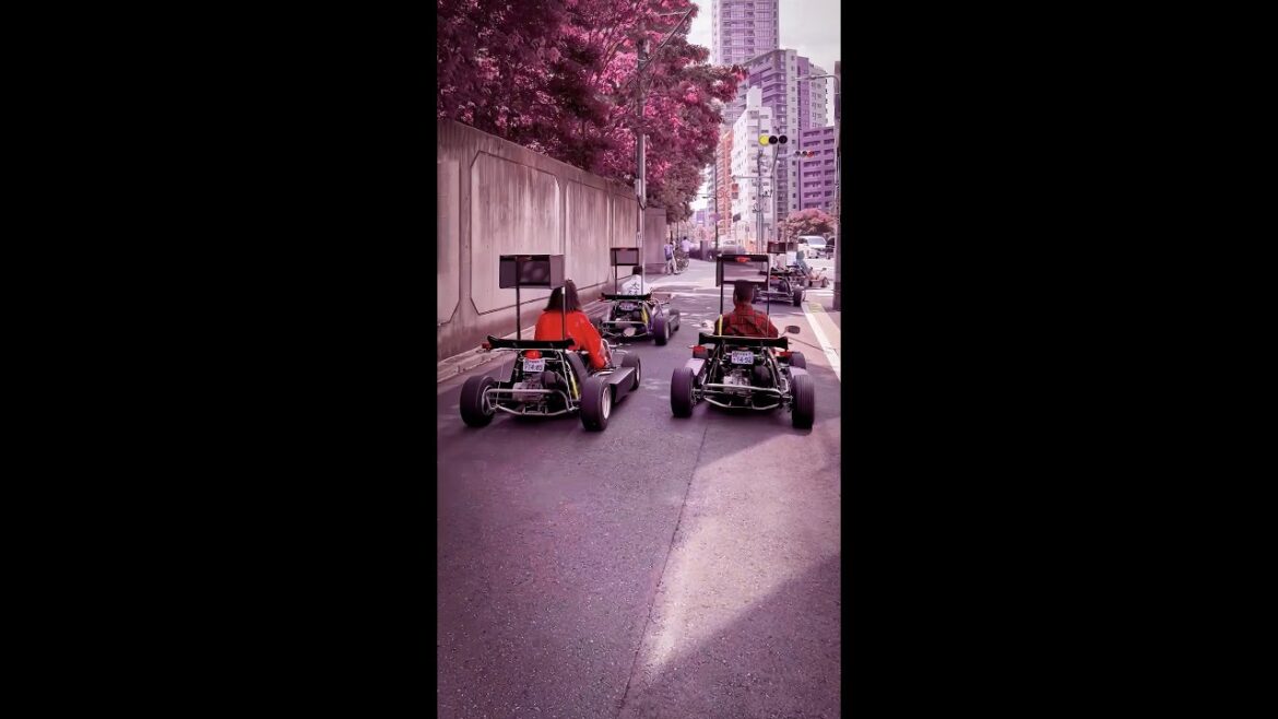 Go-Kart Tour, Tokyo, Japan | #Shorts Go-Kart Tour, Tokyo, Japan | #Shorts