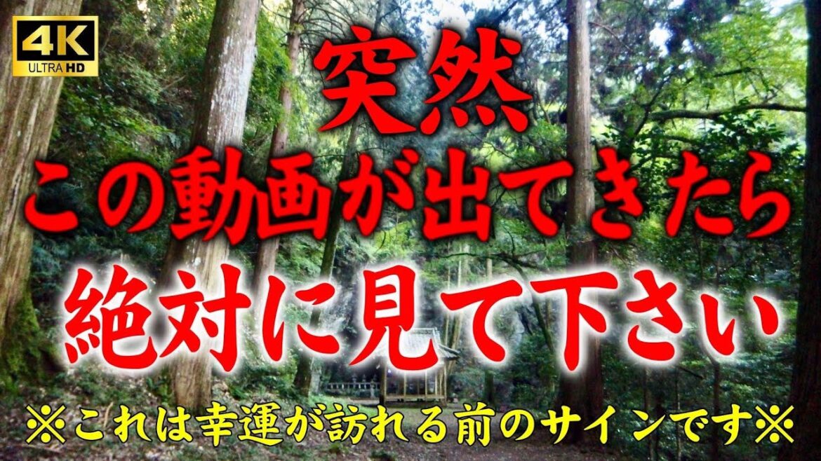 【もののけの森⛩雲仙岩戸神社】⚠️見たらあなたの運氣が上がります【遠隔参拝動画】 【もののけの森⛩雲仙岩戸神社】⚠️見たらあなたの運氣が上がります【遠隔参拝動画】