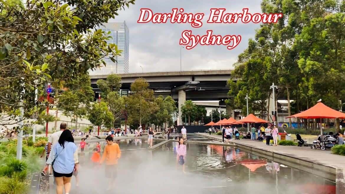 Walking tour from Haymarket to Darling Harbour on weekend | Sydney, Australia Nov 2022