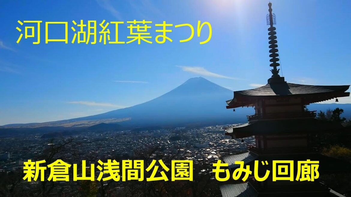 河口湖紅葉まつり　新倉山浅間公園　河口湖　もみじ回廊　MOUNT FUJI / ARAKURAYAMA SENGEN PARK /