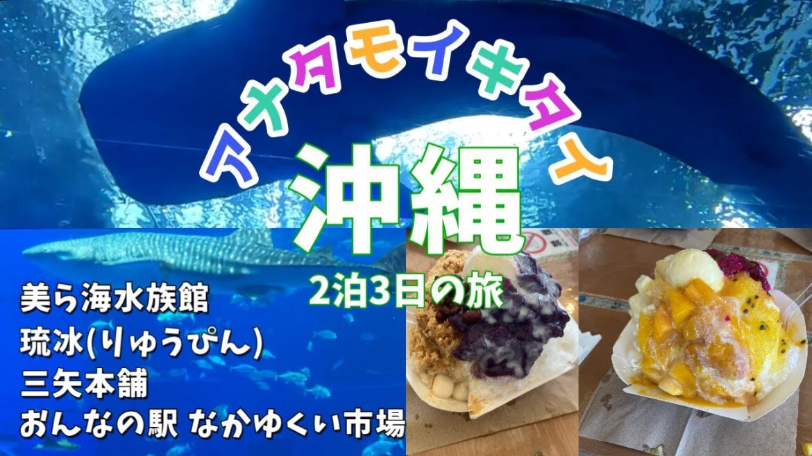 【沖縄旅行】二泊三日の旅/おんなの駅 なかゆくい市場/美ら海水族館 【沖縄旅行】二泊三日の旅/おんなの駅 なかゆくい市場/美ら海水族館