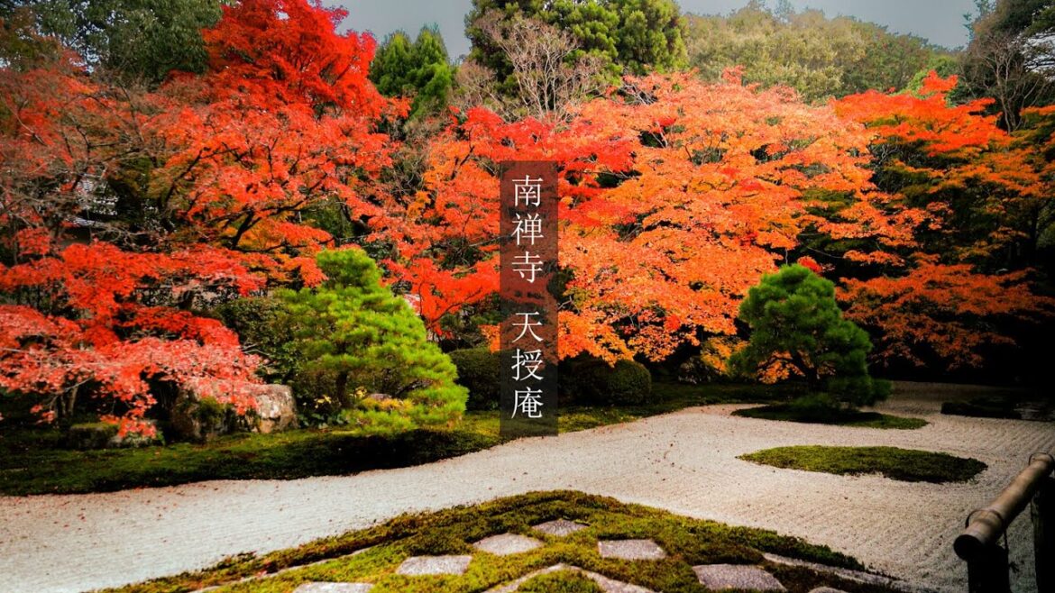 【Trip to Kyoto】南禅寺 天授庵の紅葉｜2022.11.16｜４K｜京都紅葉｜Nanzen Temple  Tenju-an (in Kyoto)｜Kyoto Autumn leaves