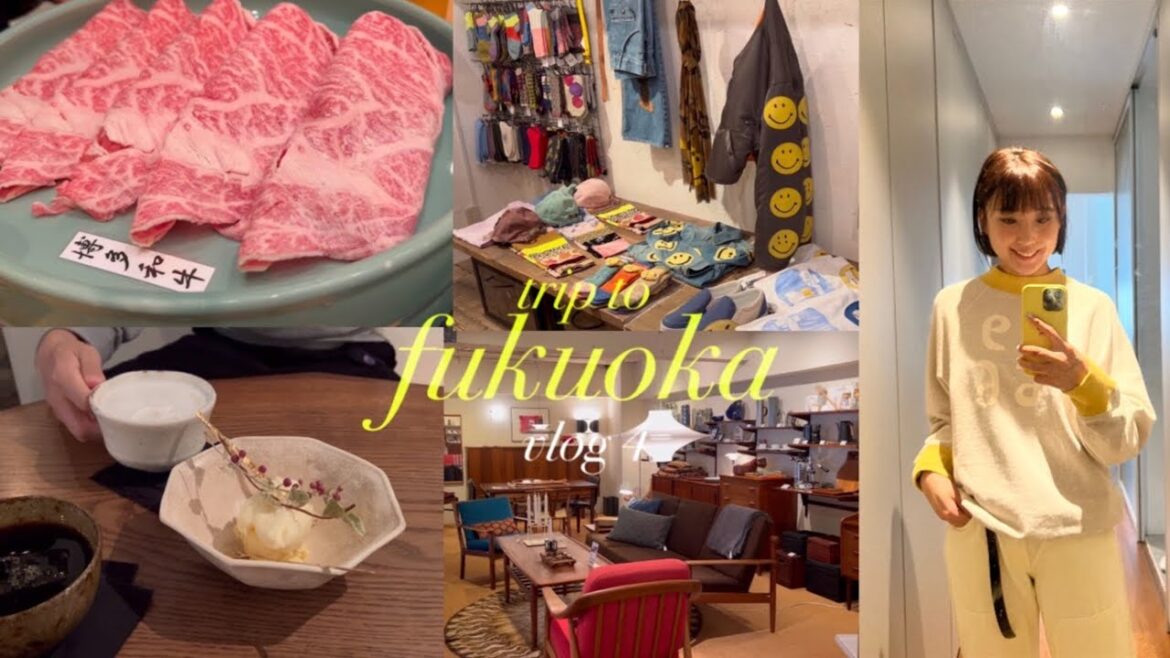 후쿠오카 여행 브이로그 4. 텐진 캐피탈 / 캐널시티 산리오 / 후쿠오카 비즈빔 / 야쿠인 네스트 / 무지북스 / 야쿠인 카페 오야투야 / 후쿠오카 리빙숍