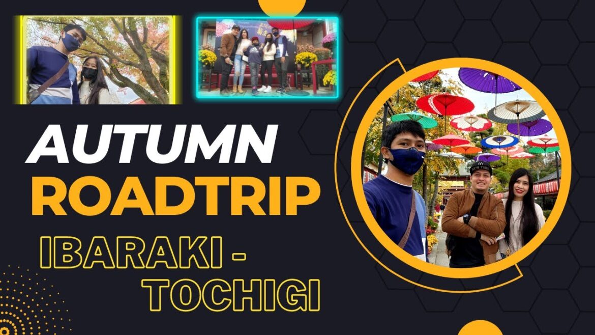 Japan Autumn Season | Ibaraki to Tochigi Roadtrip #youtube #japan Japan Autumn Season | Ibaraki to Tochigi Roadtrip #youtube #japan