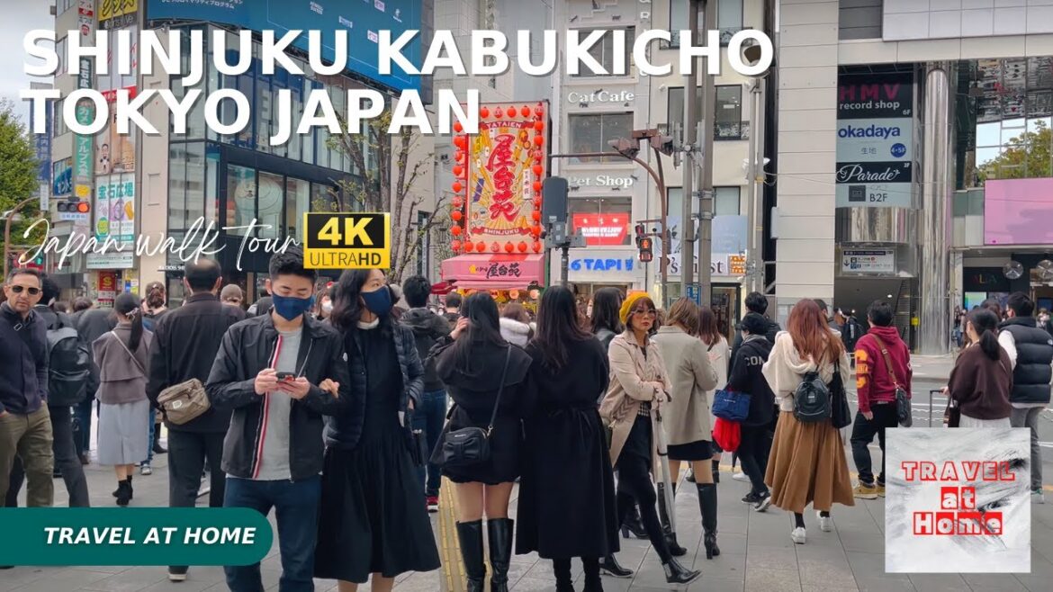 [4KHDR]Japan 4k walk 2022 | Travel at home walk in Shinjuku Kabukicho Tokyo Japan