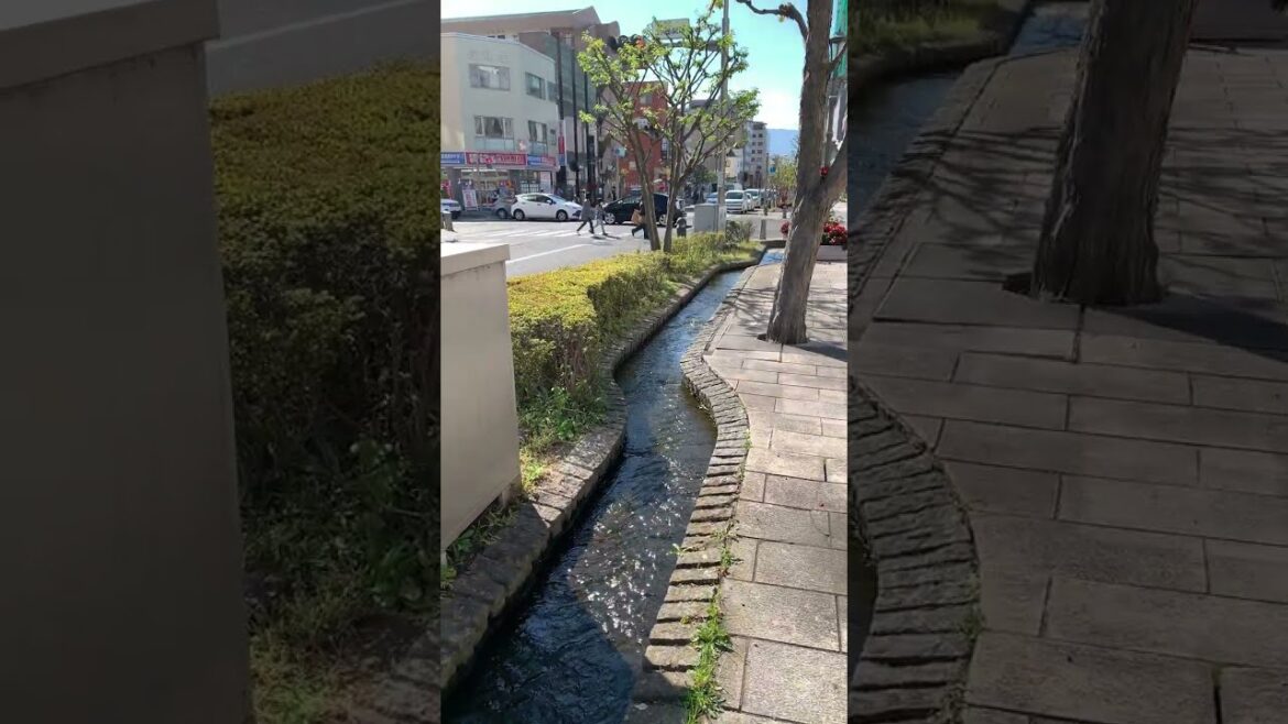 長野県松本市内の歩道流れる小川