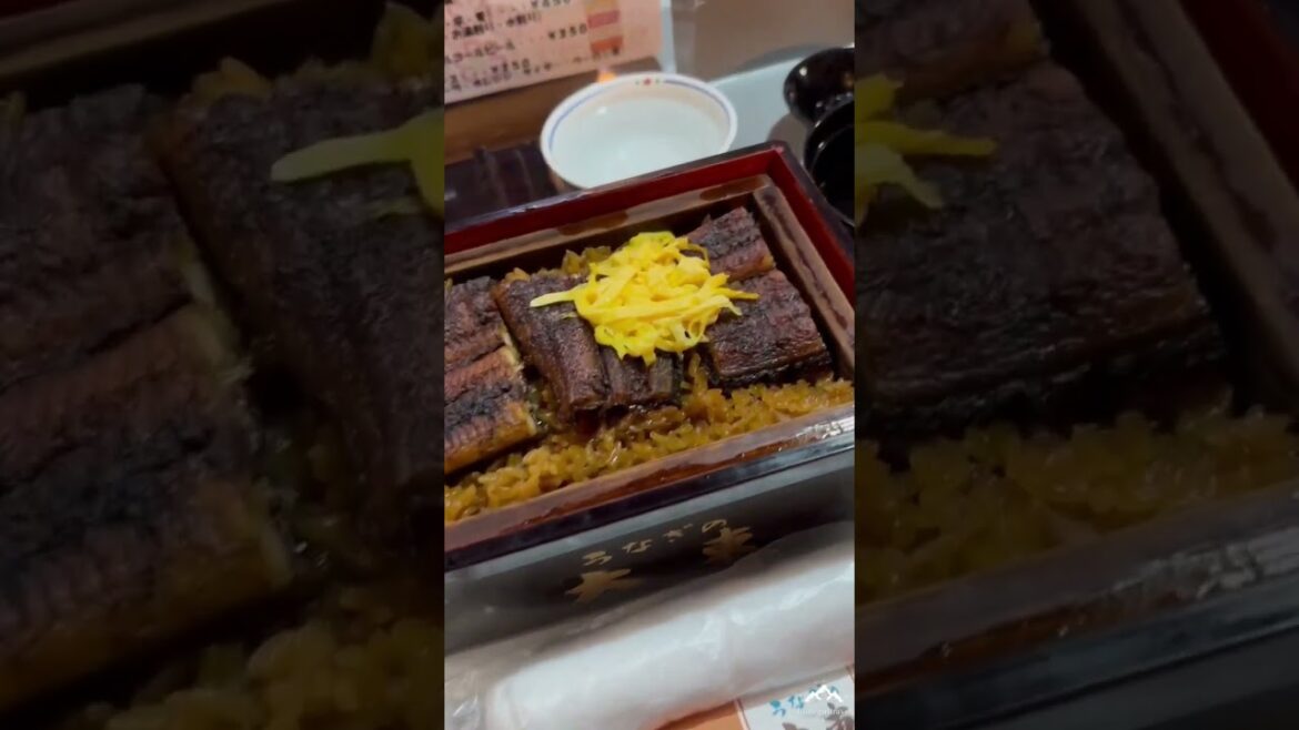 【家族で九州旅行】— 鬼石方主地獄｜柳川水鄉(*´˘`*)♡