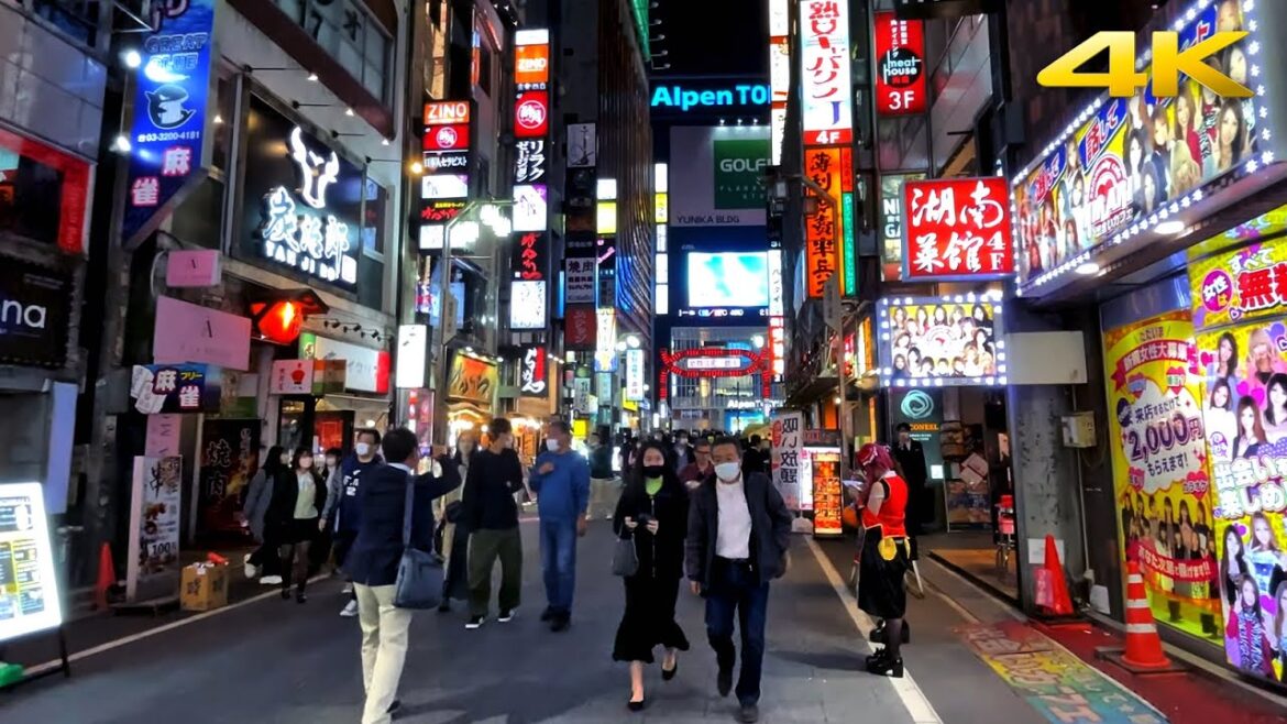 🇯🇵 Night Walk in Shinjuku Kabukicho – Tokyo, Japan・4K 🇯🇵 Night Walk in Shinjuku Kabukicho - Tokyo, Japan・4K
