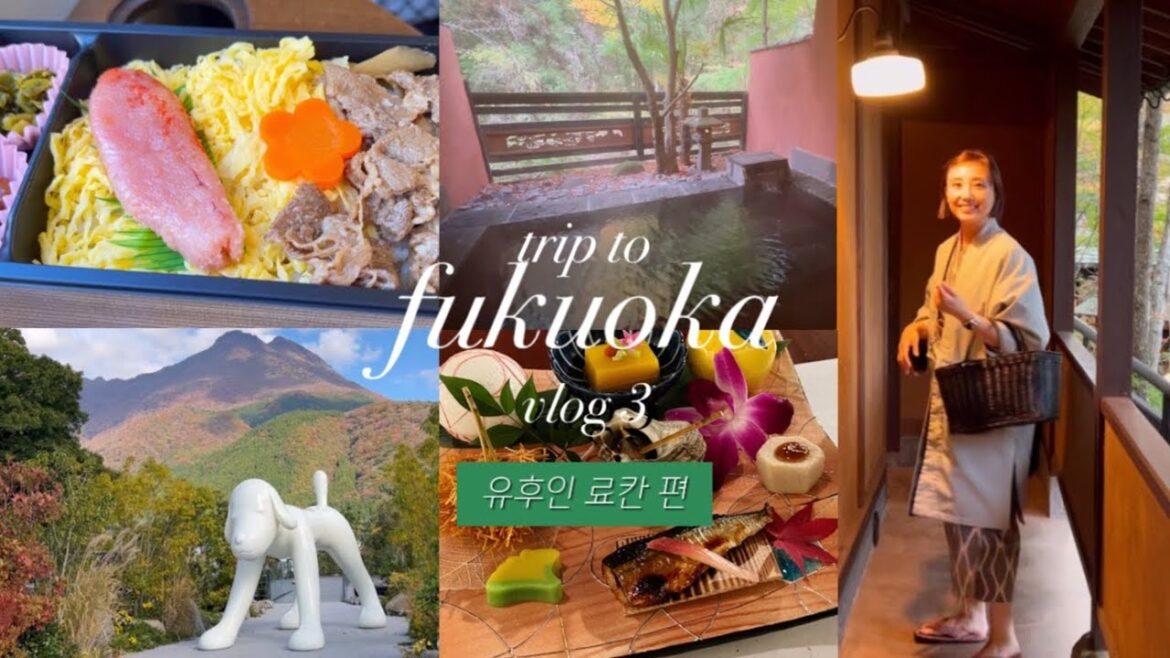 후쿠오카 여행 브이로그 3. 유후인 고급 료칸 니혼노아시타바 / 유후인노모리 / 유후인 코미코뮤지엄 / 지브리 동구리노모리 / 유후인 찻집 하나요리 / 일본그릇편집샵 하우스 후쿠오카 여행 브이로그 3. 유후인 고급 료칸 니혼노아시타바 / 유후인노모리 / 유후인 코미코뮤지엄 / 지브리 동구리노모리 / 유후인 찻집 하나요리 / 일본그릇편집샵 하우스