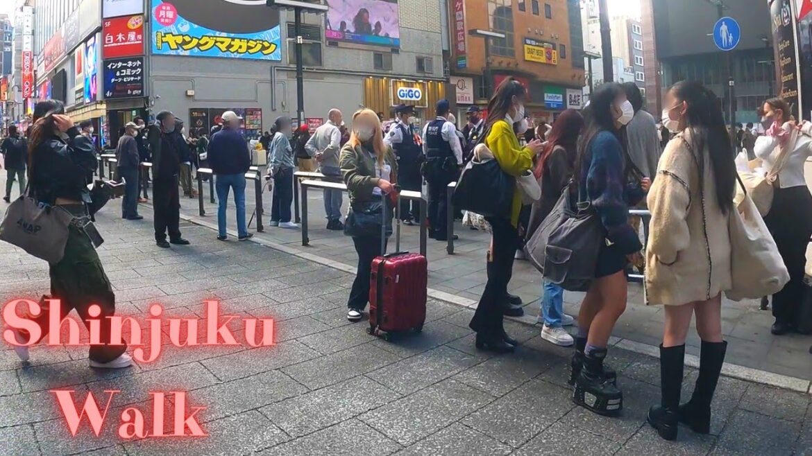 Any trouble. Kabukicho Shinjuku Tokyo in Japan walking tour. 【4K】11.2022