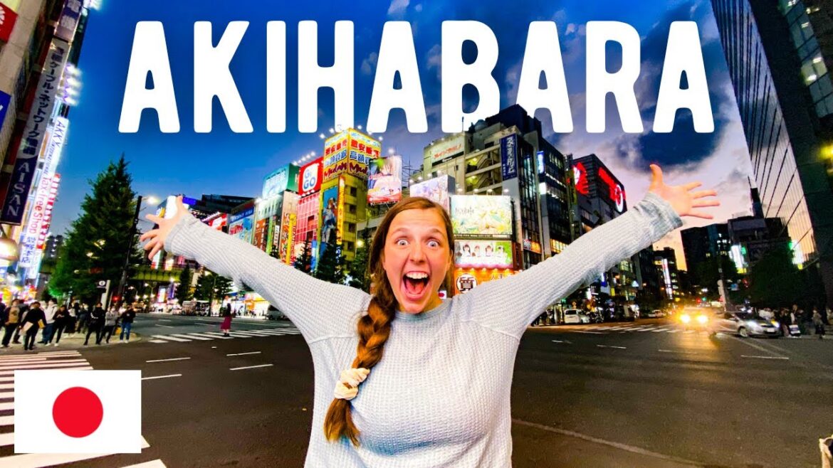 EXPLORING AKIHABARA TOKYO JAPAN (Crane Games, Manga, Ramen, and Kanda Myojin Shrine) | 秋葉原散策 EXPLORING AKIHABARA TOKYO JAPAN (Crane Games, Manga, Ramen, and Kanda Myojin Shrine) | 秋葉原散策
