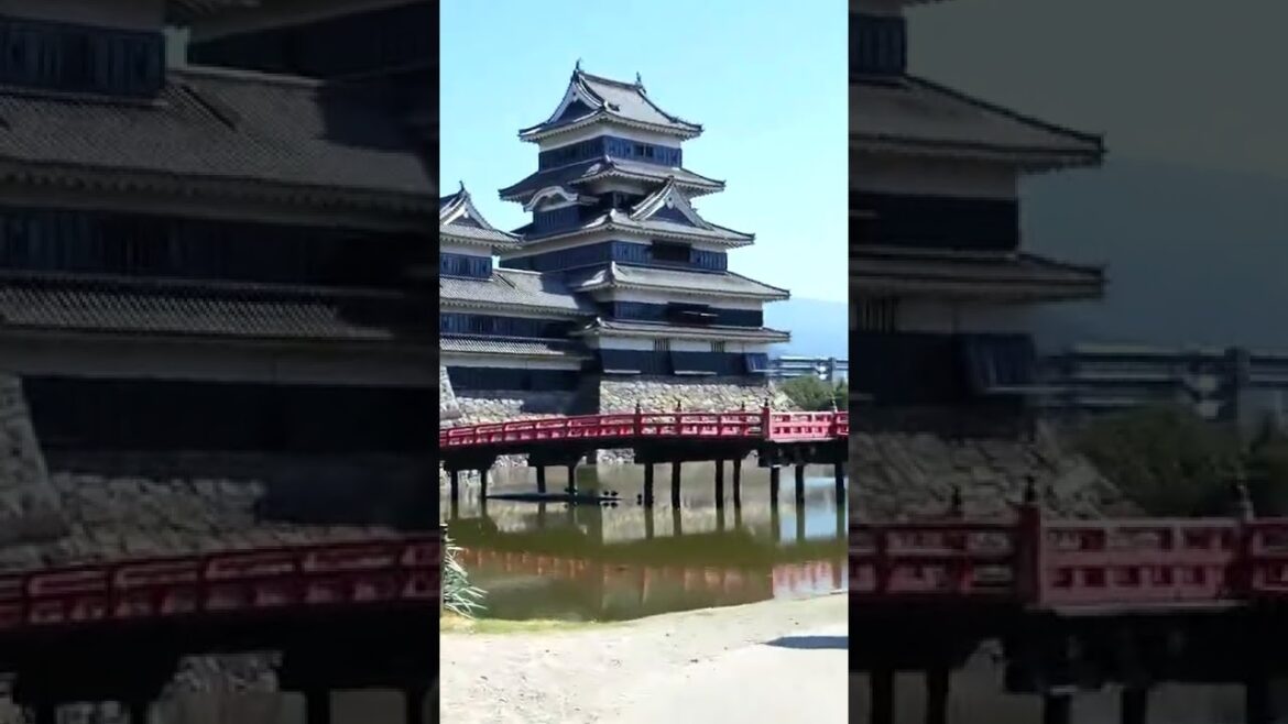 【東京から近い国宝のお城】あらゆる角度の松本城