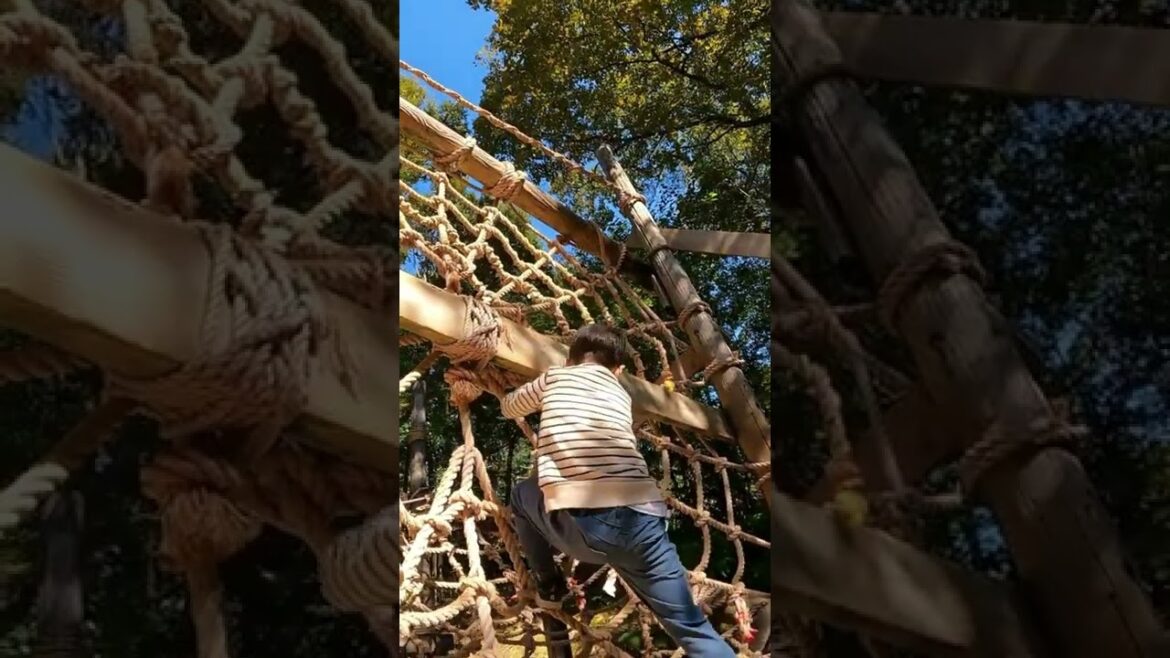 【静岡】浜北森林アスレチックが楽しすぎた Japanese Athletic Course #shorts