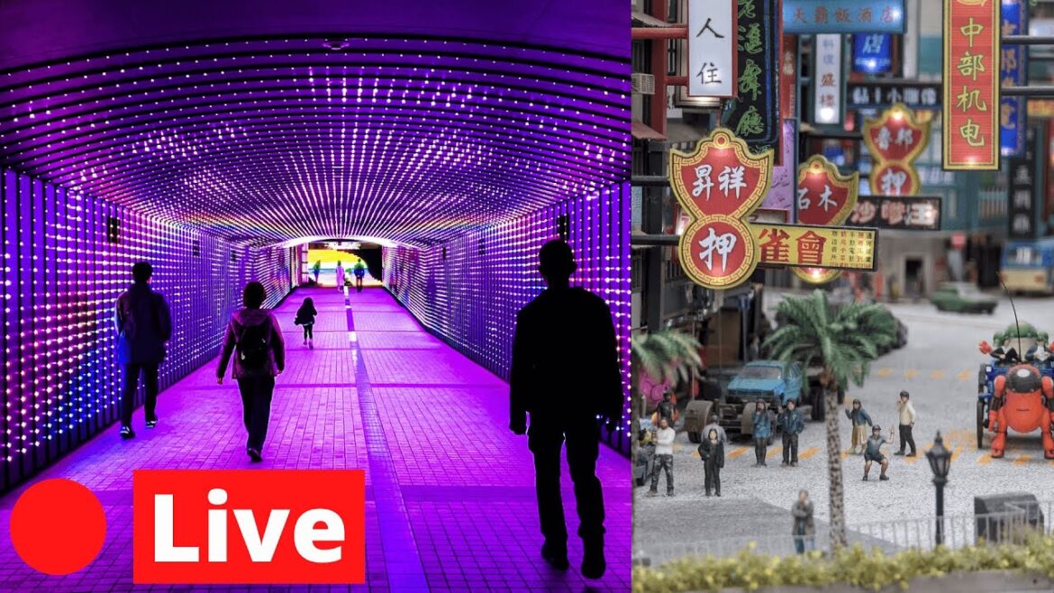 Tokyo LIVE Friday Afternoon (Small Worlds & Illuminations)