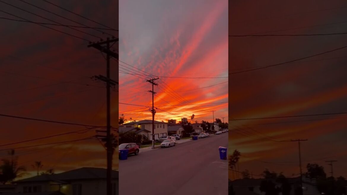 Have You Ever Seen A California Sunset?! 🥹🥹 #shorts #explore Have You Ever Seen A California Sunset?! 🥹🥹 #shorts #explore