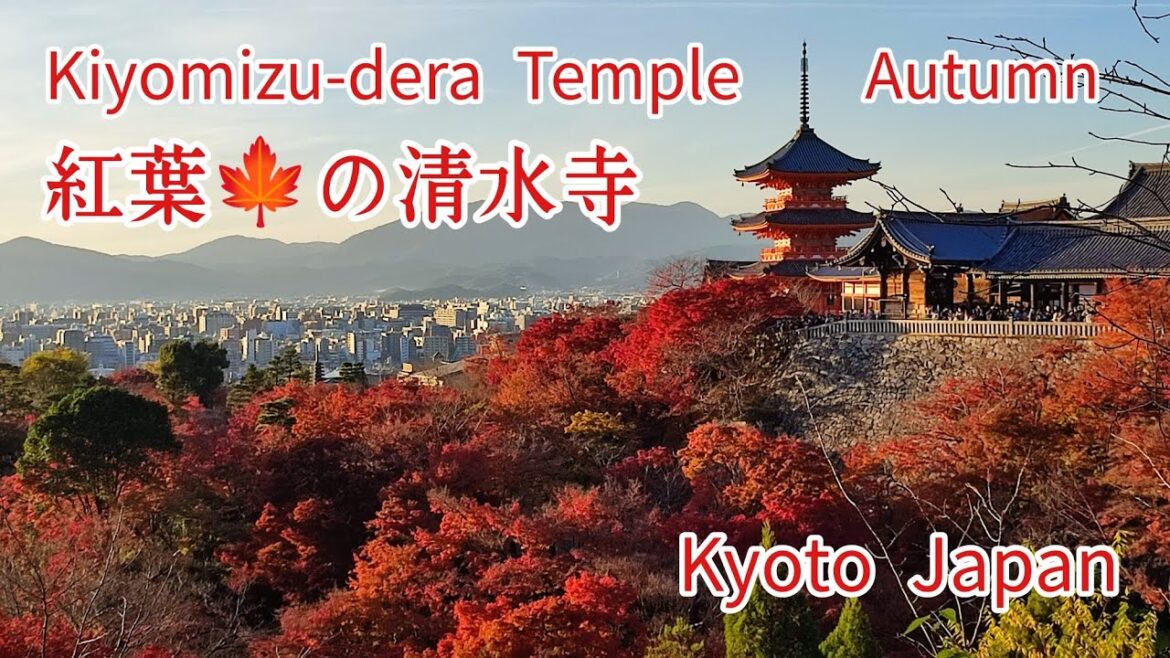 Kiyomizu-dera Temple Kyoto Japan 真っ赤に染まった紅葉🍁の清水寺