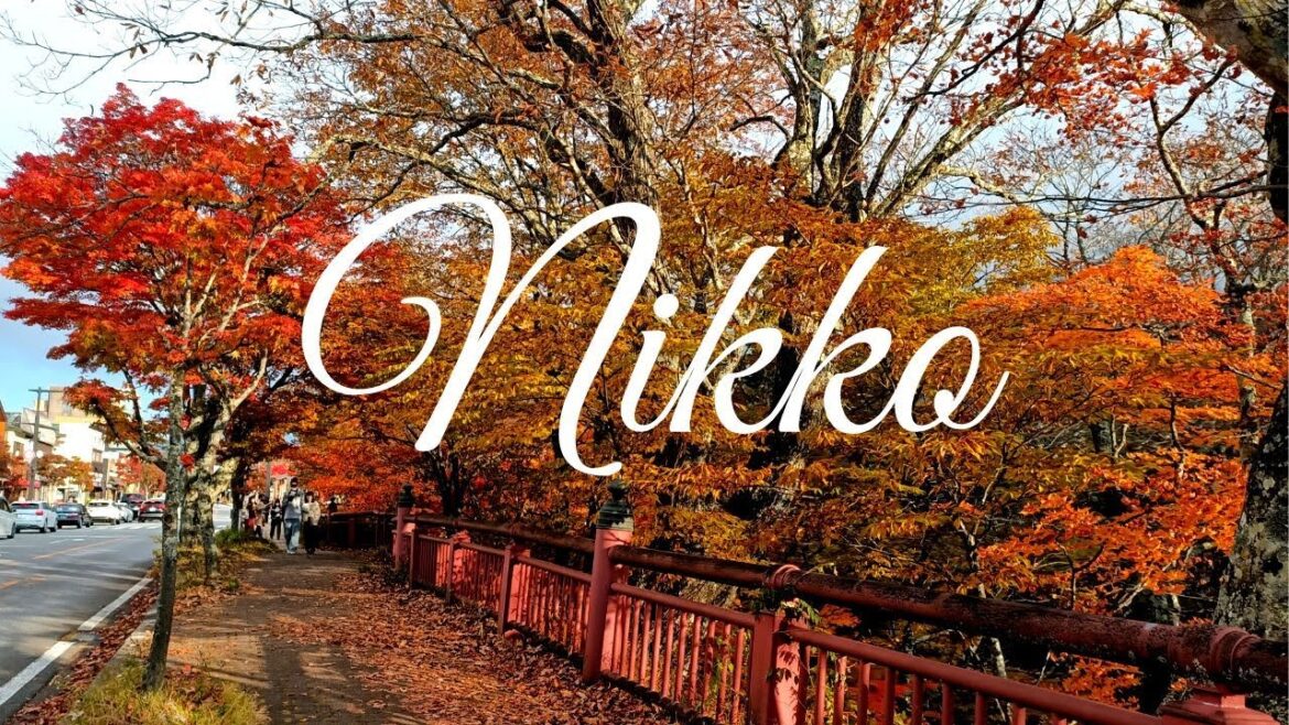 Daytrip at Nikko (Autumn)  | Japan | Bonz Voyage