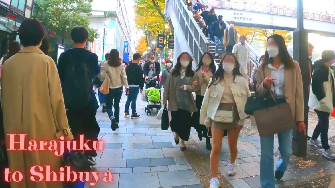 Harajuku to Shibuya Tokyo, in Japan walking tour【4K】11.2022