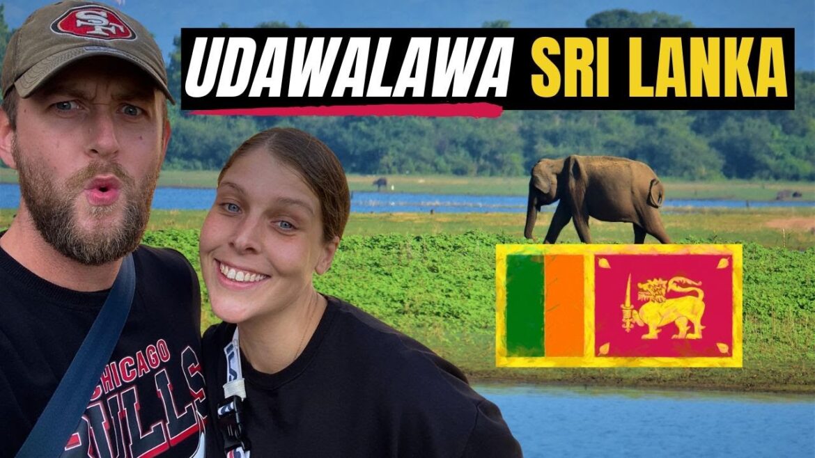 UDAWALAWA SAFARI SRI LANKA 🇱🇰 (BEST DAY EVER)