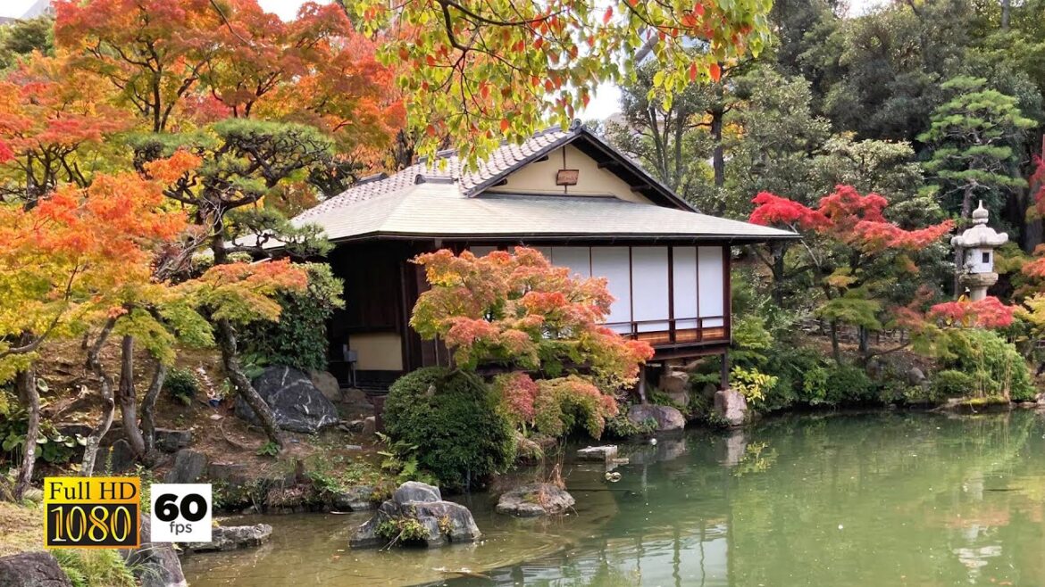 JAPAN TRAVEL | Sorakuen Garden, Japanese garden in Autumn Sagara Banquet | Maples  changed color