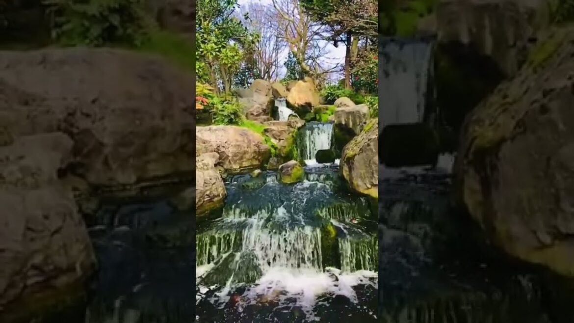 Holland Park, Kyoto garden, UK