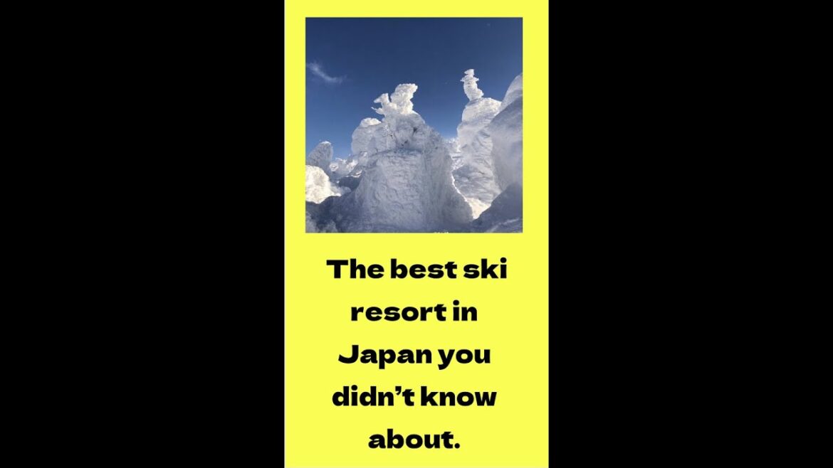 The Best Ski Resort in Japan You Didn't Know about. #shorts