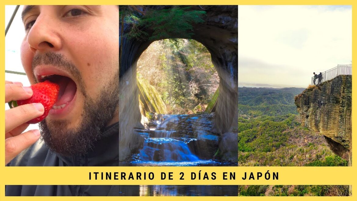 Visitando Chiba + Buffet Libre de Fresas 🍓