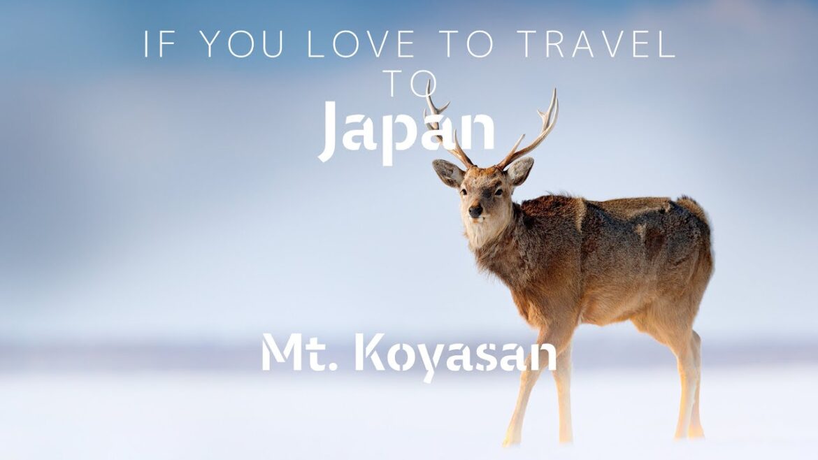 S027 Travel to Mt. Koyasan(heritage) in japan.Camera: GFX100S, Lens: GF32-64mmF4, Video: GoPro10 S027 Travel to Mt. Koyasan(heritage) in japan.Camera: GFX100S, Lens: GF32-64mmF4, Video: GoPro10