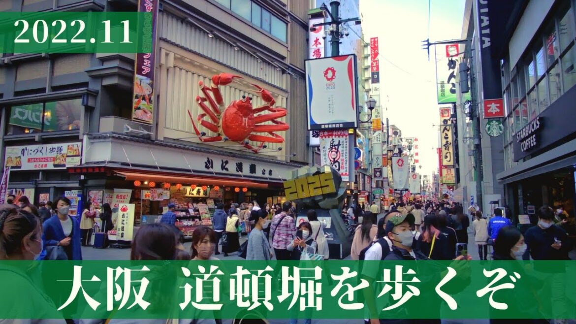 [2022]大阪 道頓堀を歩くぞ　OSAKA　JAPAN　字幕付き