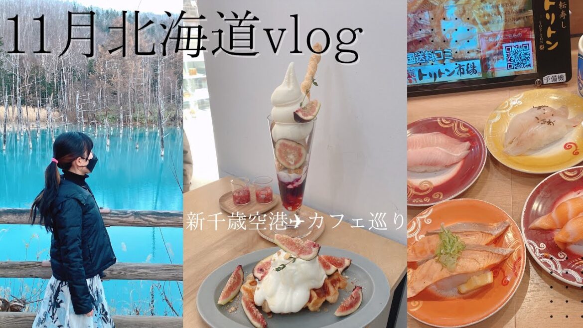 11月の北海道旅行vlog 札幌カフェ巡り 北海道産の食品購入 ご飯巡り : HOKKAIDO Sapporo trip