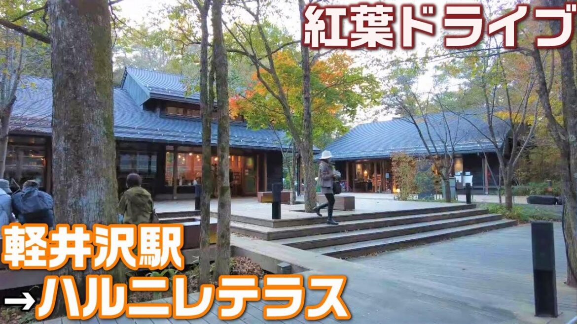 星野リゾートで有名な軽井沢ハルニレテラスへ🚙ショッピング＆温泉＆食事をまとめて楽しめるいいところ😄軽井沢駅～ハルニレテラス【アクセスMAP付き・4K・長野移住／旬旅】